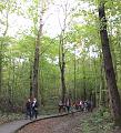 MG Herfstwandeling op 18-10-2015, org. Judith & Monke Menten (4)